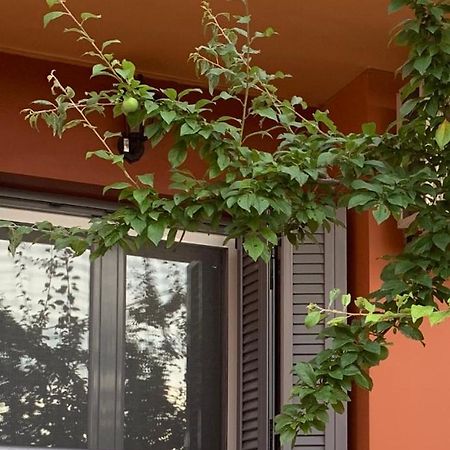 Lefkas Apartment Kalligoni Exterior photo